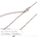 ステンレス ネックレス 潰し 小判 チェーン JTSC-2=JTSC-6 SS002-24 太さ約2mm 全長60cm 1本