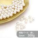 樹脂パール 通し 5mm 300g 約2250個 大袋 丸 ラウンド キスカ パール 軽い プラスチック製 クラフト ハンドメイド ハンドメイドアクセサリー