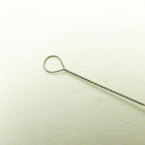 ��10������ۥӡ������ߥ� �ӡ����� CTNF CTNM ��Ĺ65mm 1���å� �磻�䡼�� �ĥ����ȥ磻�䡼 �ˡ��ɥ� �����ɥӡ��� �ӡ����ɽ� �ϥ�ɥᥤ�� ��� ���������꡼ ���奨�꡼ ���� ����ե� ƻ�� ������