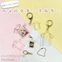 ハメパチ CAK-T30A(KT30) 30x25mm Tシャツ型 本体のみ フック ストラップ 手作り キーホルダー アクリルキーホルダー アクキー 写真キー...