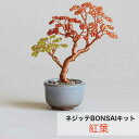 ネジッテ nejitte BONSAIキット HCA30//5 紅葉 1個 ビーズキット MIYUKI キット ねじって 盆栽 ビーズキット 作成 手芸 ビーズ ビーズキット 初心者向け ネジッテBONSAIキット ワイヤーアート 盆栽キット 手作り体験キット