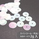 【数量限定】ポリエステルスパンコール PSPN-P59 太白オーロラ 2g センターホール 平丸 衣装 装飾 新体操 社交ダンス バレエ アイススケート 服飾 ...