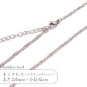 ステンレス ネックレス スクリュー チェーン JTSC-16 SS016-18 太さ約2mm 全長45cm 1本