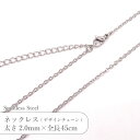 ステンレス ネックレス デザイン チェーン JTSC-17 SS017-18 幅約2mm 全長45cm 1本