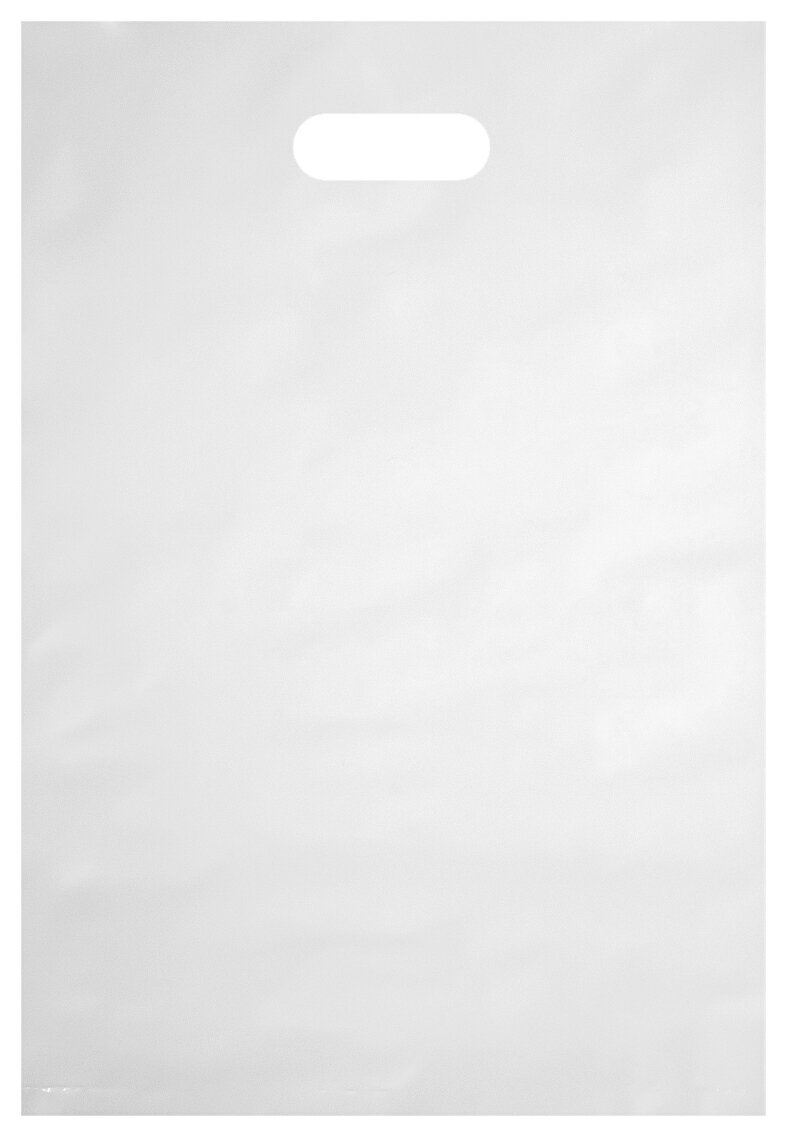 ポリ袋 ポリエチレン袋 平袋 手提げポリ袋 ギフトバッグ ラッピング袋 ビニール袋 プレゼント袋 ポリ手..