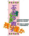 のぼり ぶどう直売 水タンク ぶどう狩り ぶどう直送 ぶどう直売所 シャインマスカット 半額セール スイングバナー のぼり ぶどう シャインマスカット 葡萄 案...