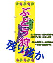 のぼり ぶどう直売 水タンク ぶどう狩り ぶどう直送 ぶどう直売所 巨峰 半額セール スイングバナー のぼり ぶどう シャインマスカット 葡萄 案内板 のぼり旗...
