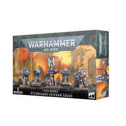 【11月4日発売】 スペースマリーン：スターンガード・ベテラン・スカッド SPACE MARINES: STERNGUARD VETERAN SQUAD WARHAMMER 40000 40k ウォーハンマー