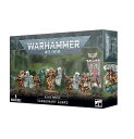 【新品】サングナリーガード ブラッドエンジェル ウォーハンマー40k SANGUINARY GUARD BLOOD ANGELS WARHAMMER40,000 サンギナリー