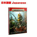 【日本語版】バトルトーム グルームスパイト ギット　ウォーハンマー エイジオブシグマーBATTLETOME GLOOMSPITE GITZ WARHAMMER　AOS SIGMAR