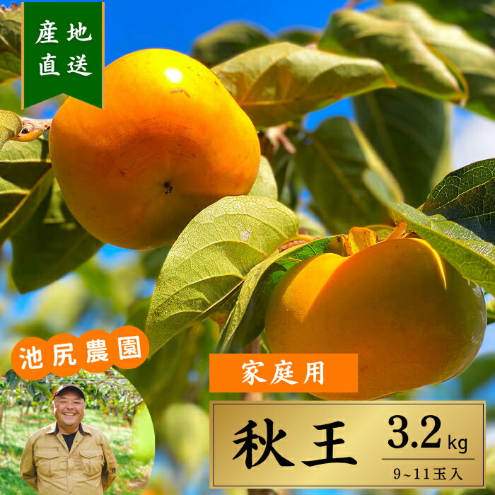 秋王 柿 福岡県産 3.2kg 池尻農園 家庭用 優品 完全甘柿 9～11玉 種なし 高糖度 サクサク食感 期間限定..