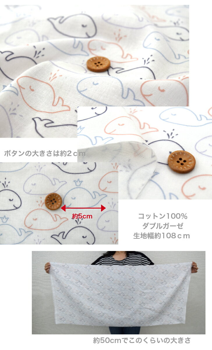 サンプル画像2