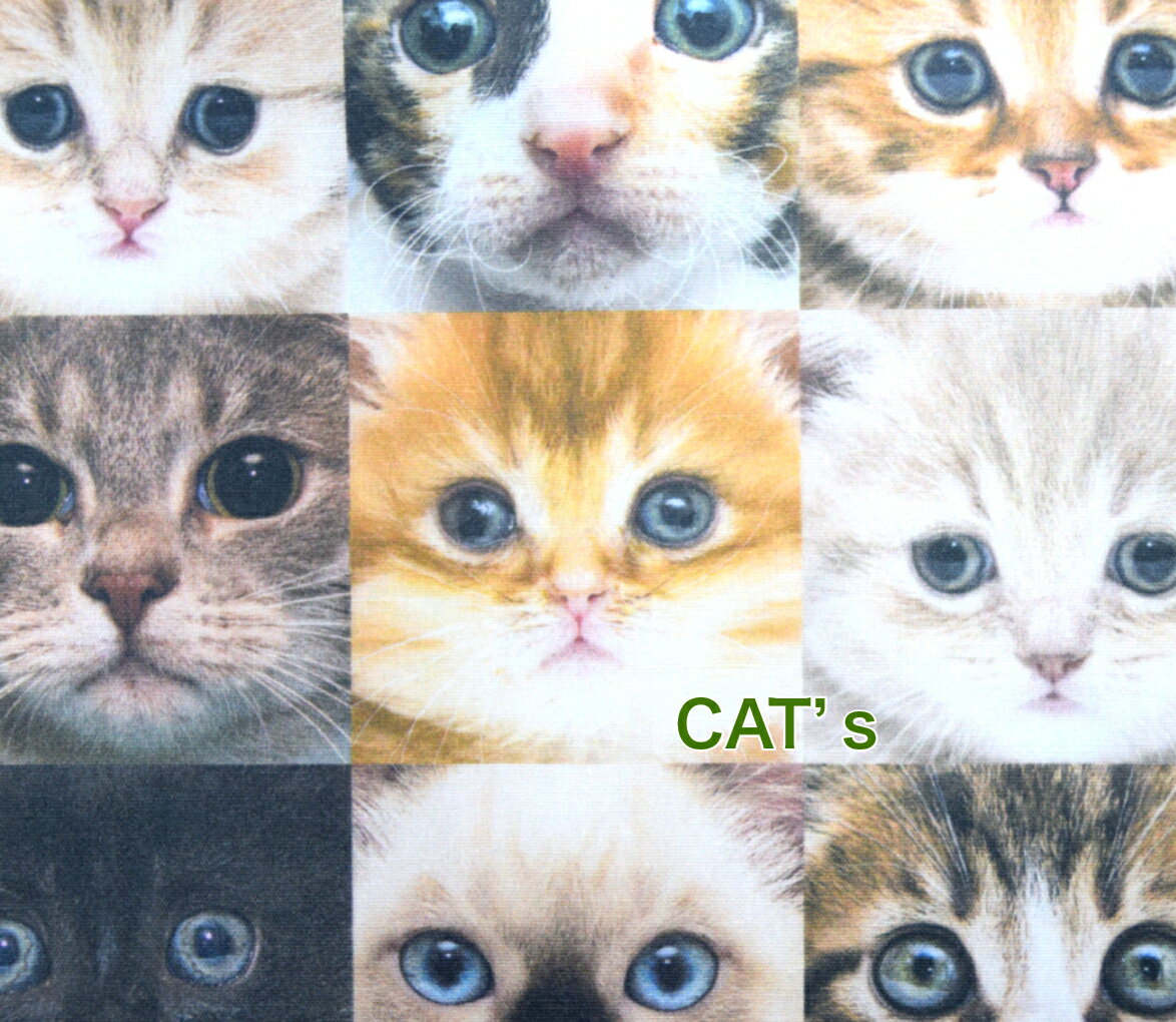 【50cm単位】写真のような鮮やかさ「ブロード」「CAT’s」 コットン100％ 生地 布 綿 マスク パジャマ 入園入学 バッグ 猫 ネコ ねこ 子猫 デジタルプリントのサムネイル