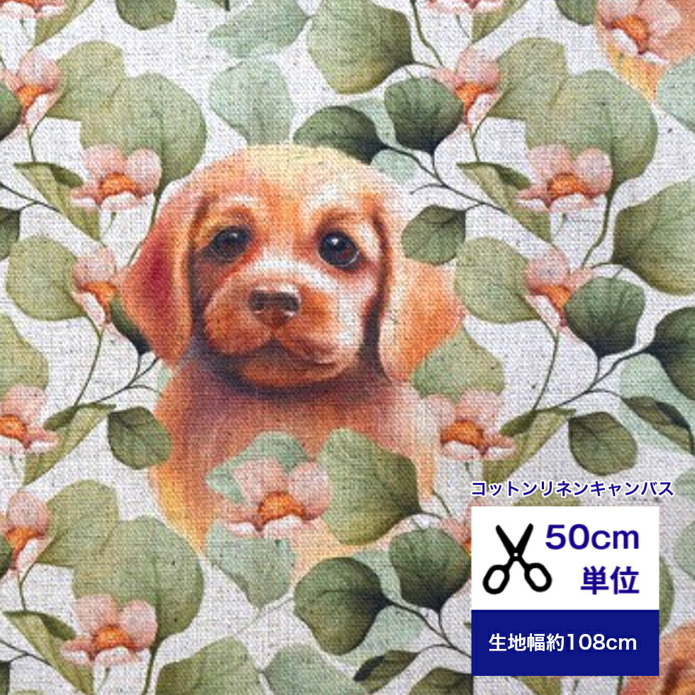 50cmñ̡ۥåȥͥ󥭥Х Gribanessworld֤ɤʤĤİǥȥСȥ桼աײ ...