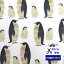 【50cm単位】【シーチング】「ペンギンの親子」 コットン100% 綿 布 入園入学 服 手作り カバーリング 動物柄 ペンギン 親子 海 ペンギン 605円