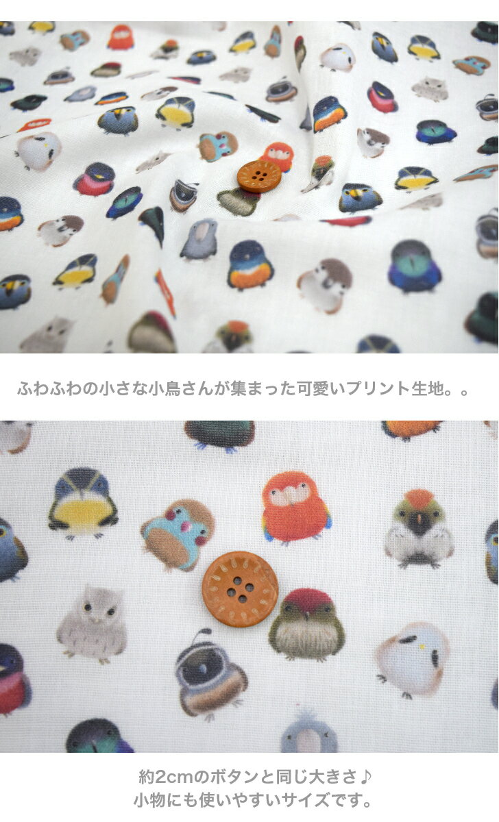 【50cm単位】【ダブルガーゼ】「小さなkotoriたち」 コットン100％ 生地 布 綿 デ...