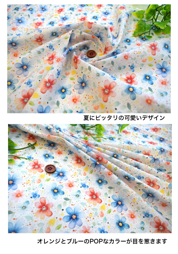 ��50cmñ�̡ۥ����� �ڤ����ʤ䤫�ʥ��������� Vol.2 �������Ĥ������⥹ �ե��󥷡� ���åȥ�100�� ���� �� �ޥ��� �� ���� �ǥ�����ץ��� ���� �� �ѥ��ƥ� �� ����������