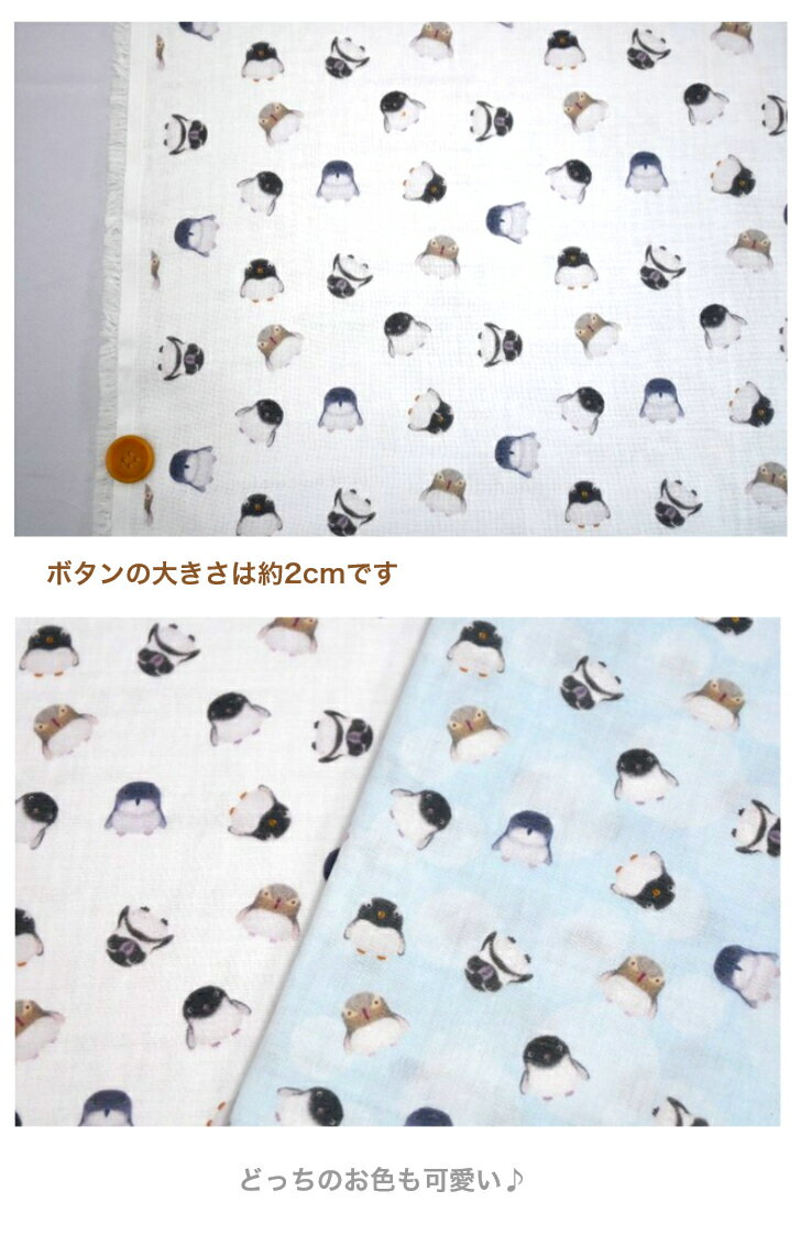 ��50cmñ�̡ۡڥ��֥륬�����֤ۡޤ�ޤ�ڥ󥮥󤵤�� ����/��ʪ /��/��/���С���� �٥ӡ� ��������/�ǥ�����ץ��ȥ� �ϥɥᥤ�� �ڥ󥮥� ���� �� ưʪ