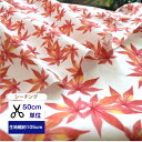 50cm単位 シーチング もみじ-風に吹かれて コットン100% 生地 紅葉 植物 リーフ 木 秋 秋風 オレンジ オータム 布 マスク 手作り ハンドメイド デジタルプリント