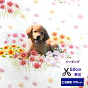 50cm単位 シーチング 「お花畑でひとやすみ♪ゴールデンレトリバー」 コットン100% 生地 犬柄 花柄 お花畑 春 マスク 手作り ハンドメイド デジタルプリント ゴールデンレトリバー(3)