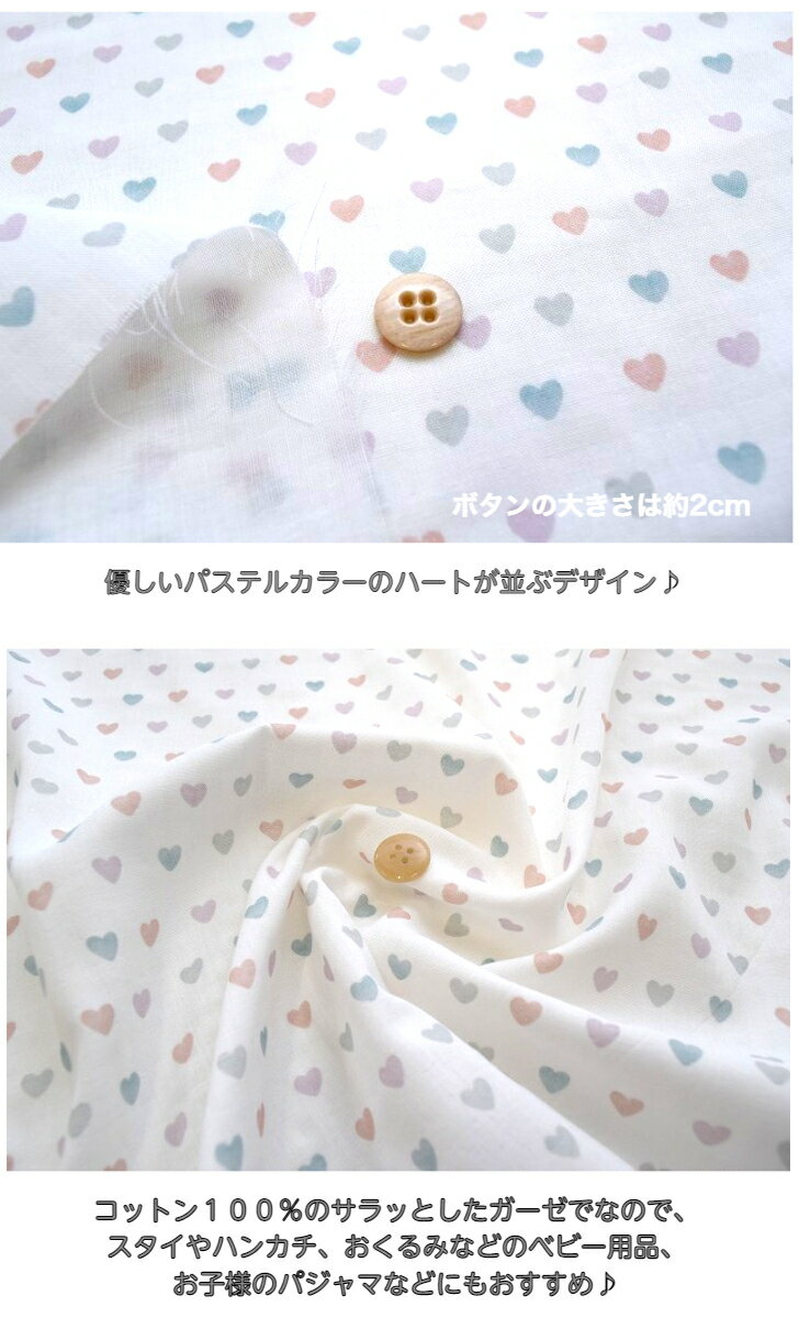 サンプル画像2