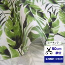 【50cm単位】 「シーチング」観葉植物 生地 布 葉柄 リーフ柄 グリーン 緑 小物 インテリア コットン100% 洋服 入園入学 寝具 小物入れ エコバッグ カバーリング カーテン