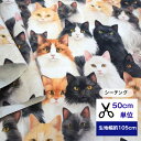 【50cm単位】 「シーチング」王国の守護猫たち♪ 生地 布 ねこ柄 猫 cat キャット 小物 インテリア コットン100% 洋服 入園入学 寝具 小物入れ エコバッグ カバーリング カーテン