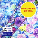 訳あり商品にてお得!【50cmカット済】シーチング 「朝顔のステンドガ...(3)