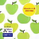 訳あり商品にてお得!【50cmカット済】シーチング 「爽やか青りんご♪」 コットン100% /生地/小物/綿/服/入園入学/ デジタルプリント/和柄 ハンドメイド 青りんご りんご 林檎 apple