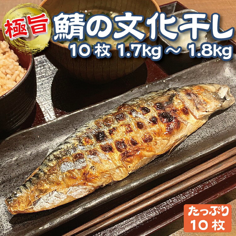 【無添加干物】鯖の文化干し 10枚 1.7kg / ノルウェー産 トロ鯖 さば 冷凍 ひもの 肉厚 絶品 サバ 塩焼き 焼き魚 酒の肴 お取り寄せ グルメ ギフト お歳暮 送料無料 敬老の日 贈り物 外国産 切り身 焼くだけ 簡単 お手軽