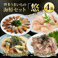 【博多の味・国産天然】博多 ごま鯖 ごま鯛 「悠（ゆう）」セット / 鯖 鯛 刺身 ご...