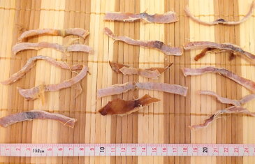 国産 無添加 素焼き真いかあたりめ 1kg 1000g チャック付き袋 切りするめ 送料無料 沖縄・離島は除く するめいか おつまみ 珍味 酒の肴 おやつ 糖質制限 ダイエット