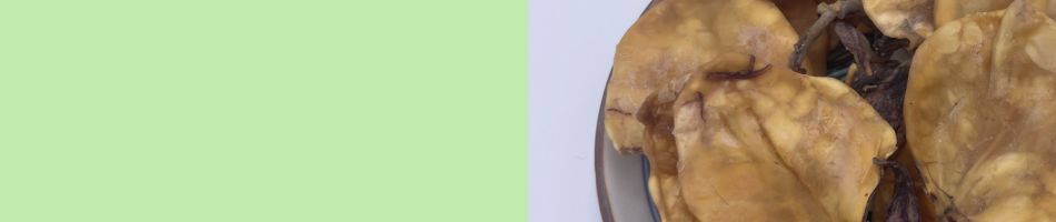 焼剣先するめ500g×2パック 業務用 さきいか 大容量 1キロ いか 珍味 おつまみ 海産...