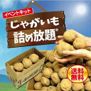 じゃがいも詰め放題 千両箱(小)対応【産地直送 野菜 じゃがいも プレゼント イベント 景品 送料無料 お祭り 集客 配布 つめほうだい つかみどり つかみ取り 詰合せ 詰め合わせ ギフト 粗品 子供会 町内会 縁日 お得なセット まとめ買い 箱付き ゴールデンウィーク】