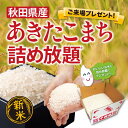 新米 秋田県産あきたこまち 詰め放題キット約15名分【秋田県産あきたこまち お米 プレゼント イベント 景品 送料無料 お祭り 集客 配布 詰め放題 つめほうだ...