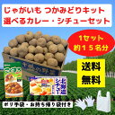 じゃがいもつかみどりキット 選べるカレー・シチュールウ付き 1セット約15名分【送料無料 イベントキット じゃがいも 野菜 産地直送 つかみどり つかみ放題 ノ...