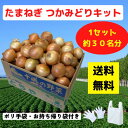 たまねぎつかみどりキット 1セット約30名分【送料無料 イベントキット たまねぎ 野菜 産地直送 つかみどり つかみ放題 ノベルティ イベント プレゼント 販促...