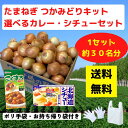 たまねぎつかみどりキット 選べるカレー・シチュールウ付き 1セット約30名分【送料無料 イベントキット たまねぎ 野菜 産地直送 つかみどり つかみ放題 ノベル...