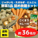 【送料無料】野菜3品 詰め放題キット こくまろカレー付 1セット約36名分【イベントキット 詰め放題 詰合せ 詰め合わせ つめほうだい つかみどり つかみ取り ギフト ノベルティ 来店プレゼント 粗品 景品 ギフト ノベルティ お祭り 感謝祭 縁日 展示会 町内会 野菜ギフト】