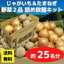 【送料無料】野菜2品 詰め放題キット 1セット約25名分【イベントキット 詰め放題 詰合せ 詰め合わせ つめほうだい つかみどり つかみ取り ギフト ノベルティ 来店プレゼント 粗品 景品 ギフト ノベルティ お祭り 感謝祭 縁日 展示会 町内会 野菜ギフト じゃがいも】