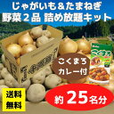 【送料無料】野菜2品 詰め放題キット こくまろカレー付 1セット約25名分【イベントキット 詰め放題 詰合せ 詰め合わせ つめほうだい つかみどり つかみ取り ギフト ノベルティ 来店プレゼント 粗品 景品 ギフト ノベルティ お祭り 感謝祭 縁日 展示会 町内会 野菜ギフト】
