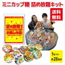 ミニカップ麺 詰め放題キット 約28名分 チャック付き袋(A4)対応【どん兵衛 チキンラーメン 赤いきつね サッポロ一番 販促品 プレゼント イベント 景品 送...