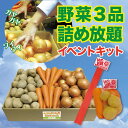 【送料無料】野菜3品 詰め放題キット 詰め放題ネット付 1セット約58名分【イベントキット 詰め放題 詰合せ 詰め合わせ つめほうだい つかみどり つかみ取り ギフト ノベルティ 来店プレゼント 粗品 景品 ギフト ノベルティ お祭り 感謝祭 縁日 展示会 町内会 野菜ギフト】