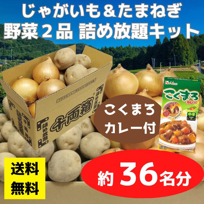 Rakuten - 【送料無料】野菜2品 詰め放題キット こくまろカレー付 1セット約36名分【イベントキット 詰め放題 詰合せ 詰め合わせ つめほうだい つかみどり つかみ取り ギフト ノベルティ 来店プレゼント 粗品 景品 ギフト ノベルティ お祭り 感謝祭 縁日 展示会 町内会 野菜ギフト】