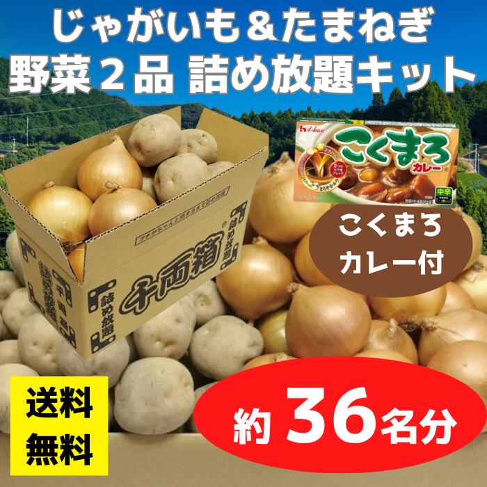 【送料無料】野菜2品 詰め放題キット こくまろカレー付 1セット約36名分【イベントキット 詰め放題 詰合せ 詰め合わせ つめほうだい つかみどり つかみ取り ギフト ノベルティ 来店プレゼント 粗品 景品 ギフト ノベルティ お祭り 感謝祭 縁日 展示会 町内会 野菜ギフト】