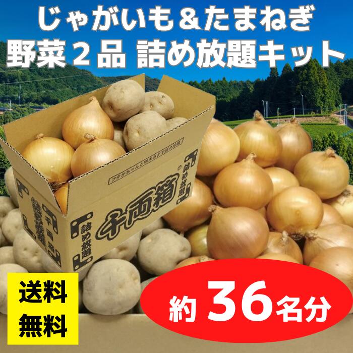 Rakuten - 【送料無料】野菜2品 詰め放題キット 1セット約36名分【イベントキット 詰め放題 詰合せ 詰め合わせ つめほうだい つかみどり つかみ取り ギフト ノベルティ 来店プレゼント 粗品 景品 ギフト ノベルティ お祭り 感謝祭 縁日 展示会 町内会 野菜ギフト じゃがいも】