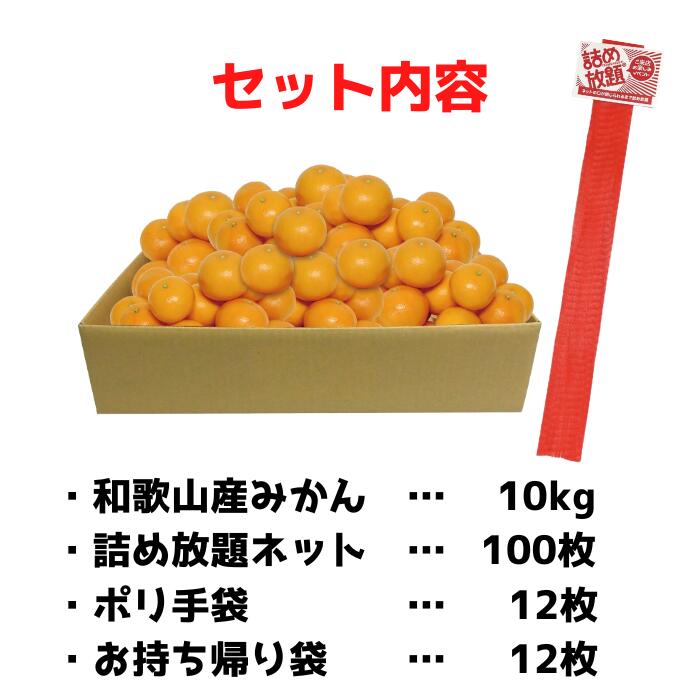 和歌山県産 みかん 詰め放題キット 約12名分【送料無料 イベントキット 詰め放題 つめほうだい イベント 景品 粗品 果物 イベント ノベルティ ギフト プレゼント 詰合せ つめあわせ 販促 フルーツ 産地直送 みかんネット】