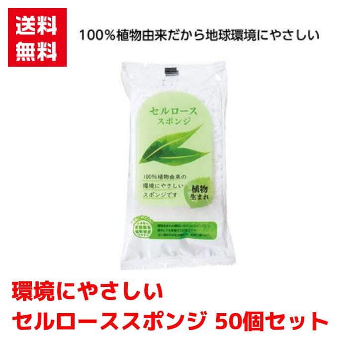 樂天商城 - 【代引き不可】環境にやさしいセルローススポンジ 50個セット【送料無料 配布用 配布 ばらまき バラマキツール 低額ギフト 低額ノベルティ プチギフト 景品 粗品 ギフト 来店プレゼント ご挨拶 挨拶ツール スポンジ キッチンギフト 日用品 消耗品 総付景品】