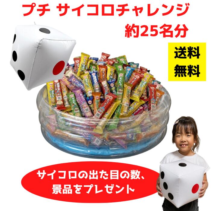 対象人数：1セット約25名分セット内容：プチ100個（約10種アソート）、サイコロビーチボール1個、ビニールプール1個、空気ポンプ1個、お持ち帰り袋賞味期限：商品に明記サイズ：サイコロビーチボール：30cm、ビニールプール：直径80cm備考：追加用はプチ100個・お持ち帰り袋のみ
