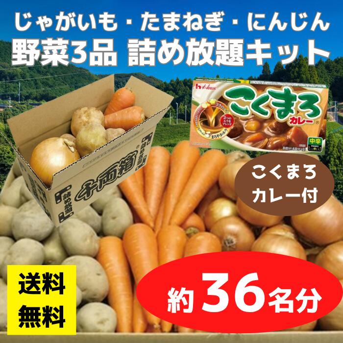 対象人数：1セット約36名分セット内容：じゃがいも20kg、たまねぎ20kg、にんじん10kg、千両箱（小）36部、とろけるカレールウ36個、ポリ手袋36枚賞味期限：約7日間（保管状況により期限が短くなる場合があります、到着後はなるべくお早めにご使用ください）千両箱（小）サイズ：（組立時）：W22.5×D10.5×H11cm（組立前）W32×D21cm